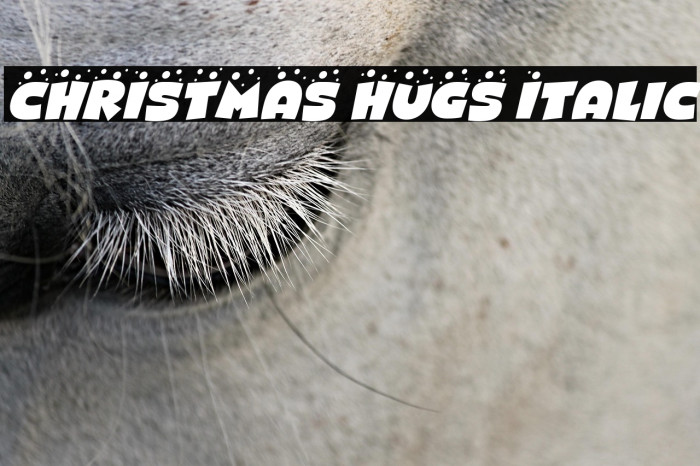 CHRISTMAS HUGS Italic Example 3