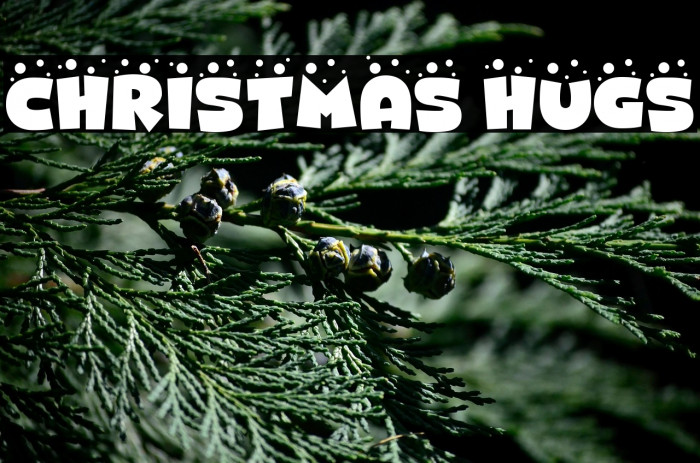 CHRISTMAS HUGS Example 2