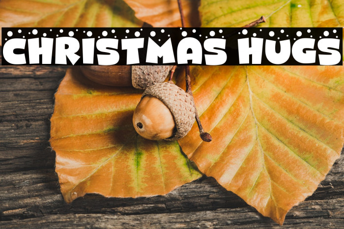 CHRISTMAS HUGS Example 3