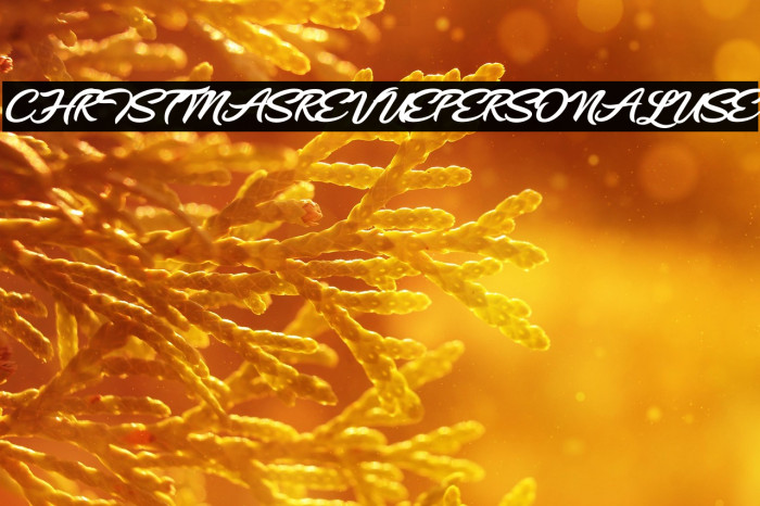 CHRISTMASREVUEPERSONALUSE Example 1