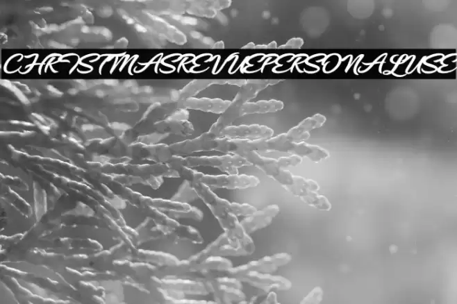 CHRISTMASREVUEPERSONALUSE フォント examples