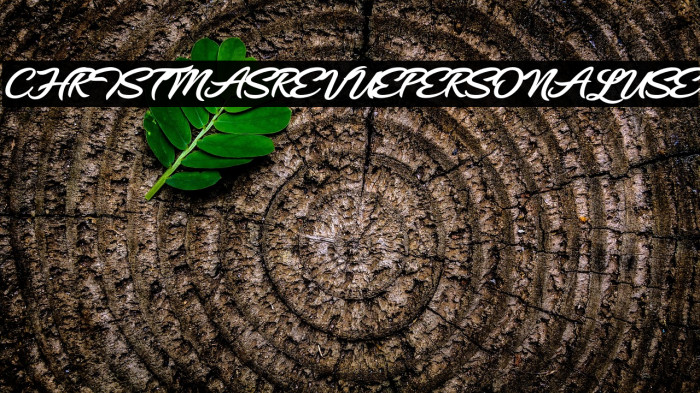 CHRISTMASREVUEPERSONALUSE Example 2