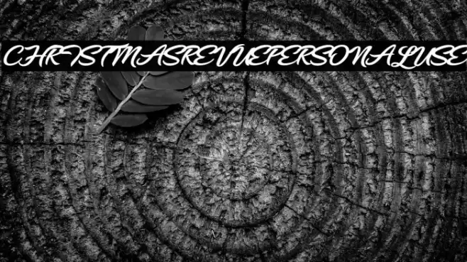 CHRISTMASREVUEPERSONALUSE フォント examples