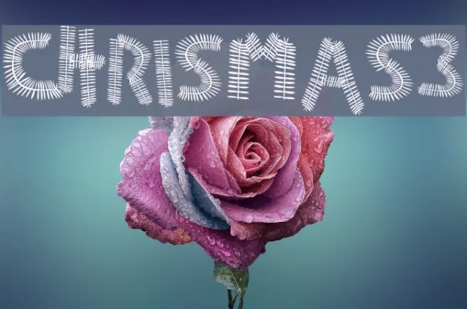 CHRISmas3 Example 3