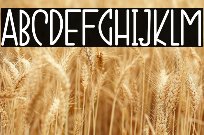 CHUBBY RUBBY Example 1