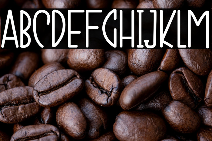 CHUBBY RUBBY Example 2