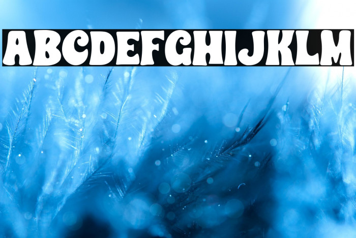 CHUNKY HEART SOLID Example 3