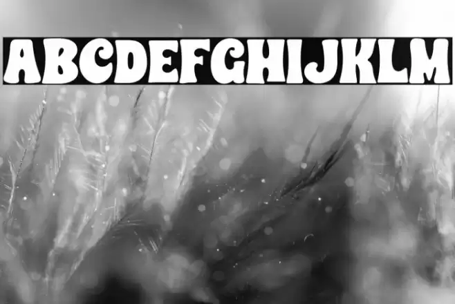 CHUNKY HEART SOLID Schriftart examples