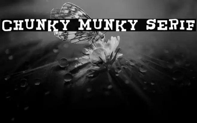 CHUNKY MUNKY SERIF Font examples