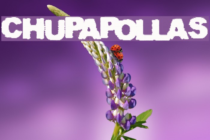 CHUPAPOLLAS Example 3