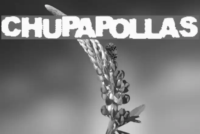 CHUPAPOLLAS Font examples