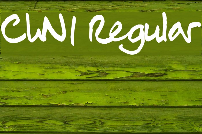 ChN1 Regular Font examples