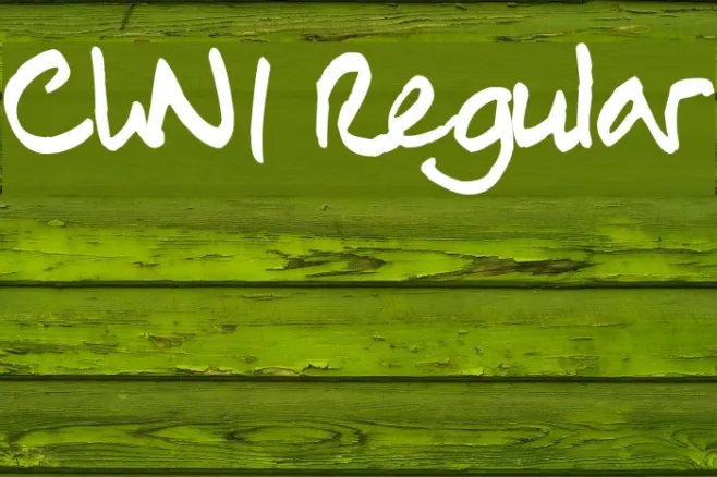 ChN1 Regular Example 1