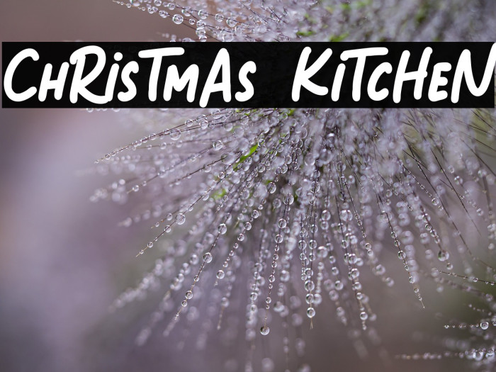 ChRisTmAs KiTcHeN Font examples