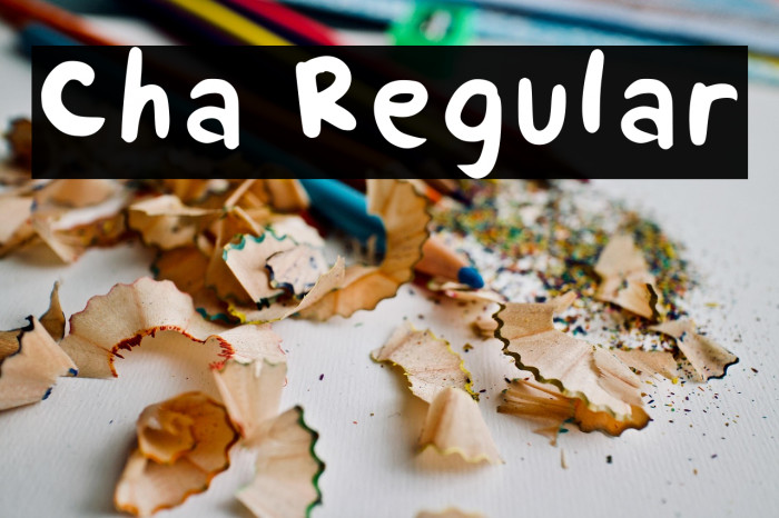 Cha Regular Example 1