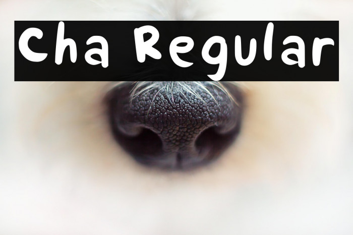 Cha Regular Example 2