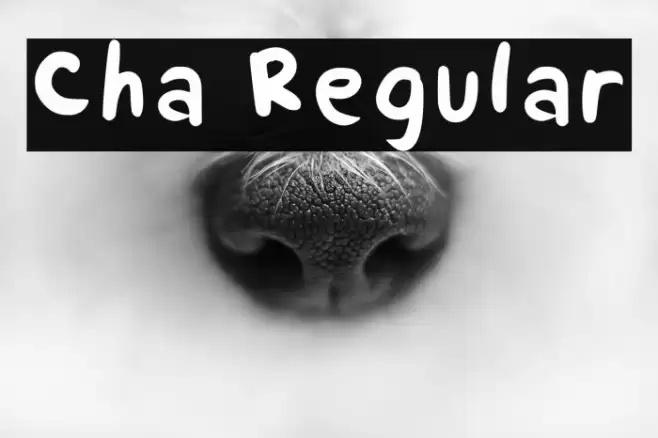 Cha Regular Caratteri examples