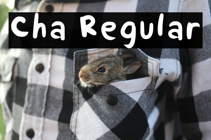 Cha Regular Example 3