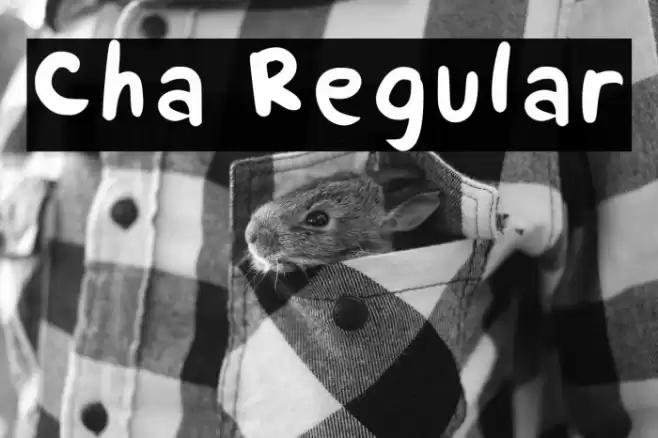 Cha Regular Caratteri examples