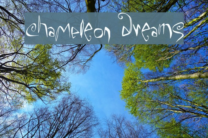 ChaMeLEon DrEamS Font examples