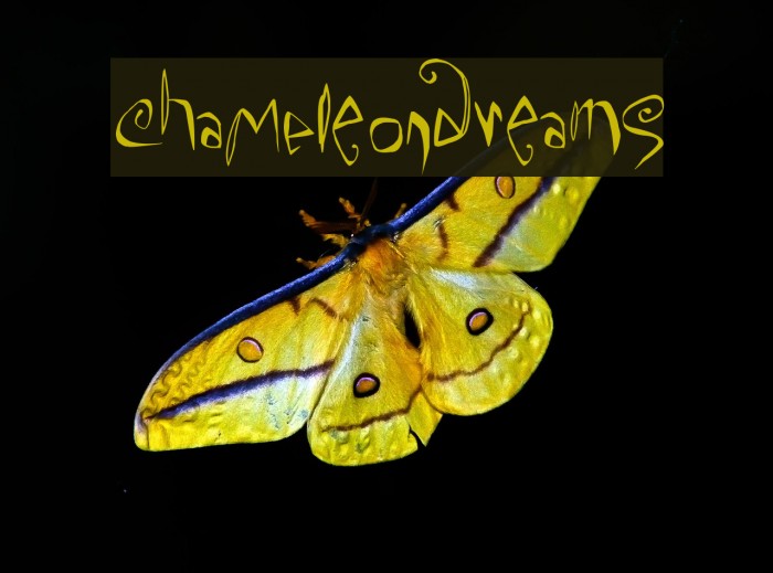 ChaMeLEonDrEamS Fonte examples