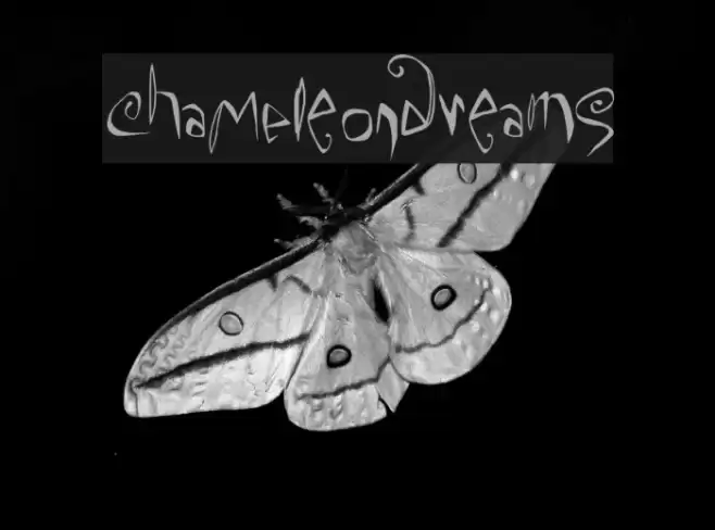 ChaMeLEonDrEamS Fonte examples