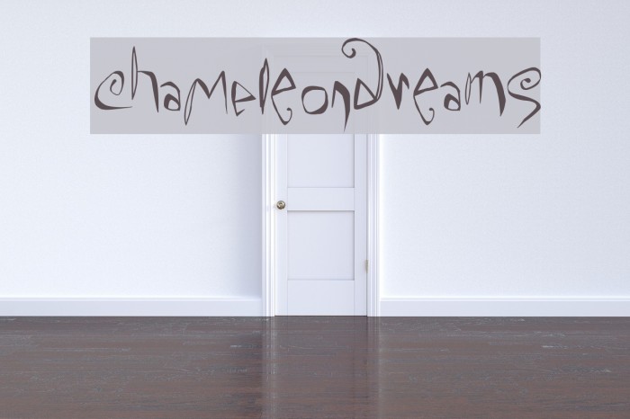 ChaMeLEonDrEamS Fonte examples