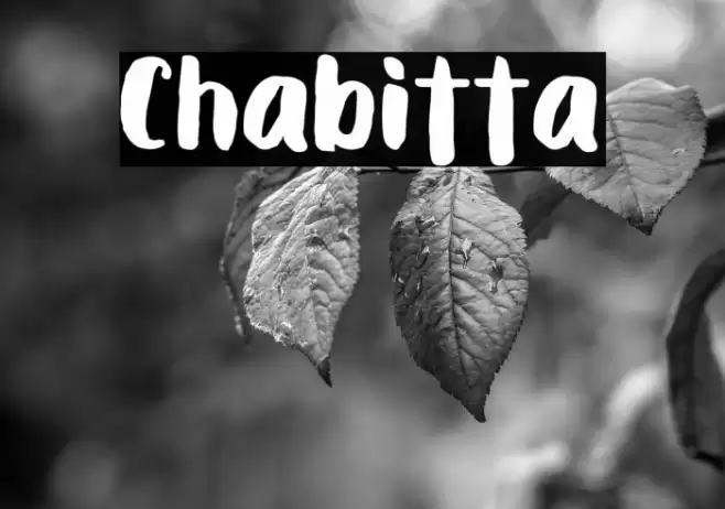 Chabitta Caratteri examples