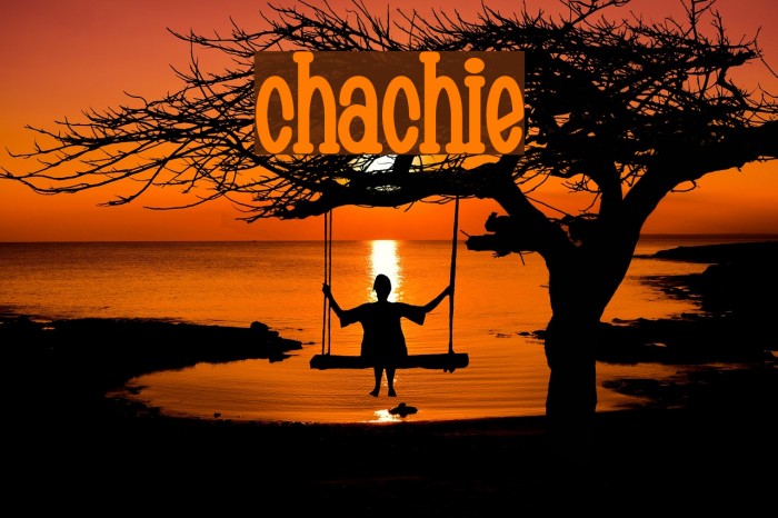 Chachie Polices examples