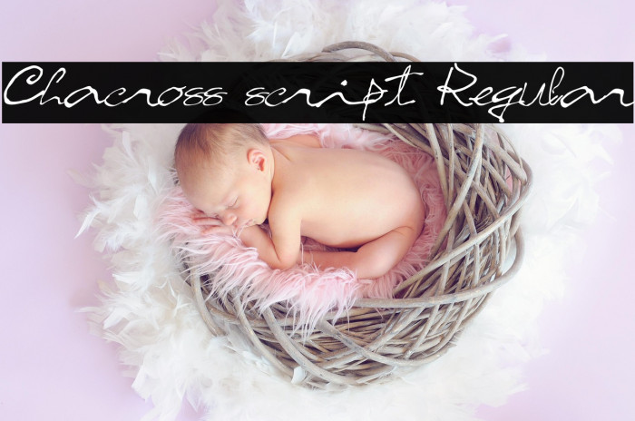 Chacross script Regular Example 1