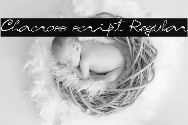 Chacross script Regular Font examples