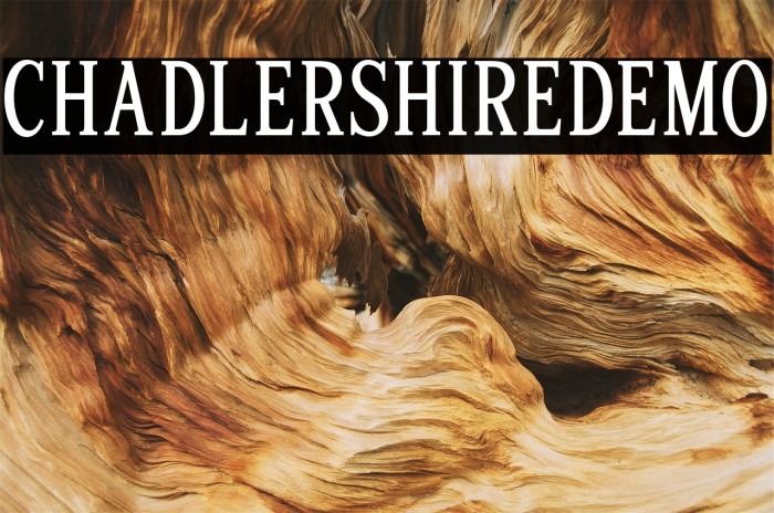 Chadlershiredemo フォント examples
