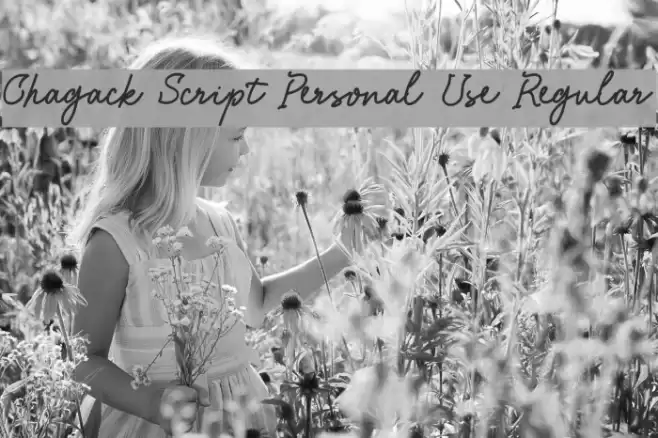 Chagack Script Personal Use Regular Font examples
