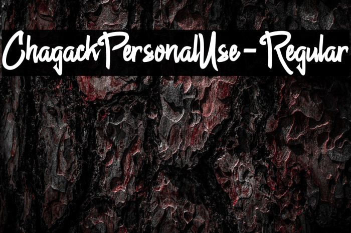 ChagackPersonalUse-Regular Example 2