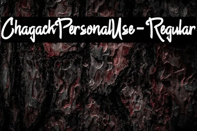 ChagackPersonalUse-Regular Example 2