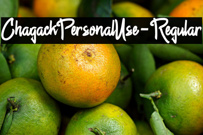 ChagackPersonalUse-Regular Example 3