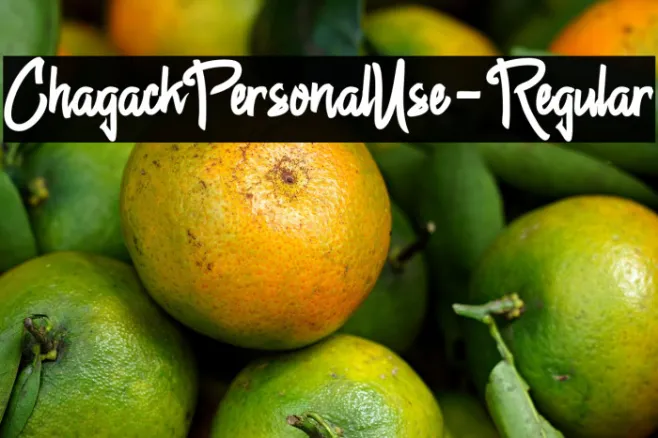 ChagackPersonalUse-Regular Example 3