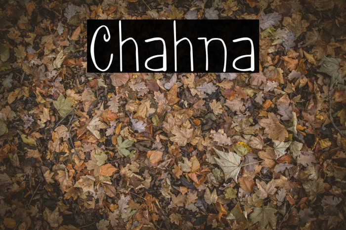 Chahna Example 1