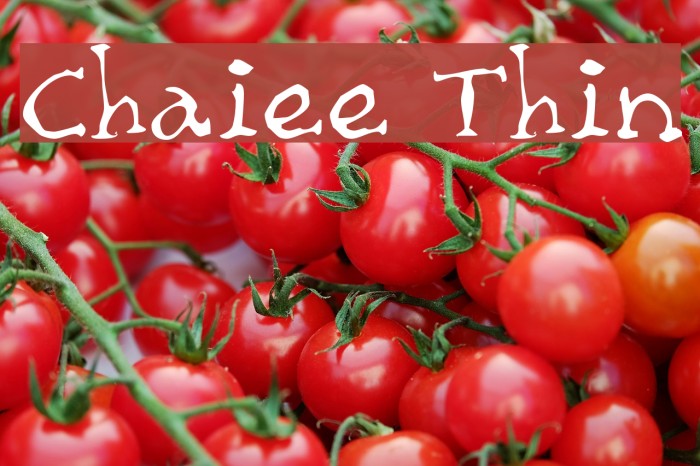 Chaiee Thin Example 1