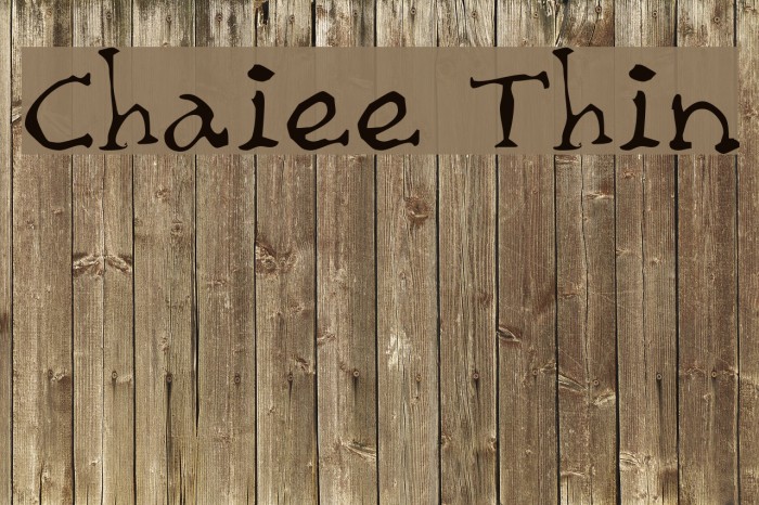 Chaiee Thin Example 2