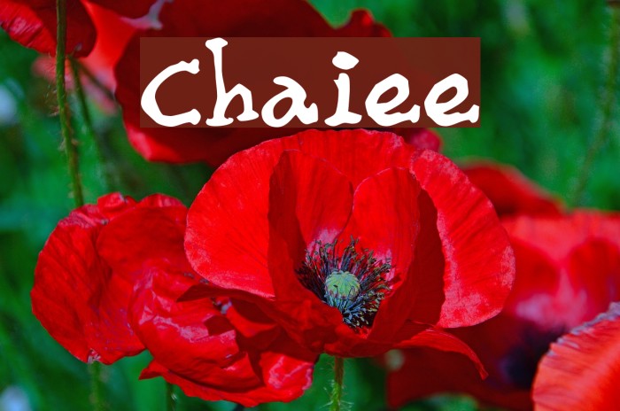 Chaiee Example 3