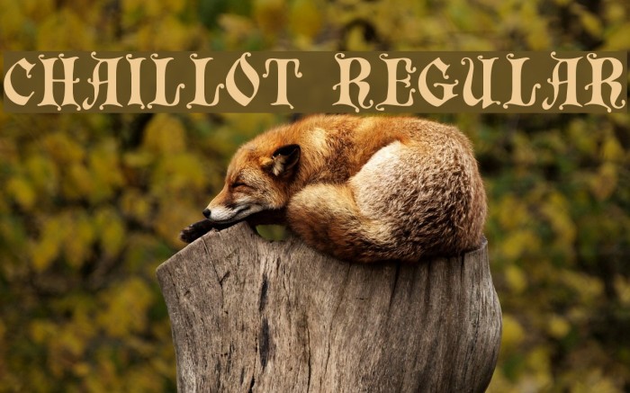 Chaillot Regular Font examples