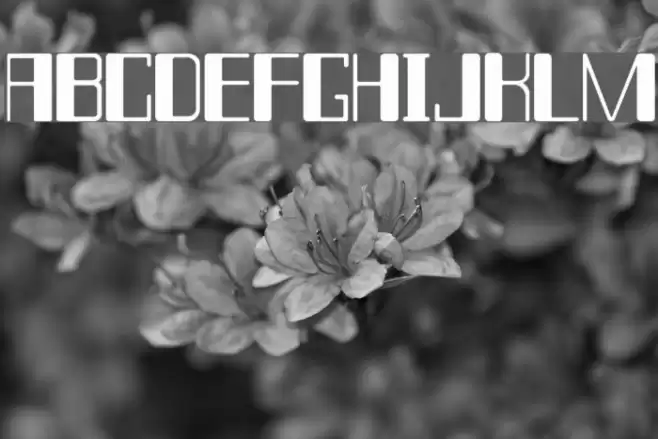 Chain_Reaction Font examples