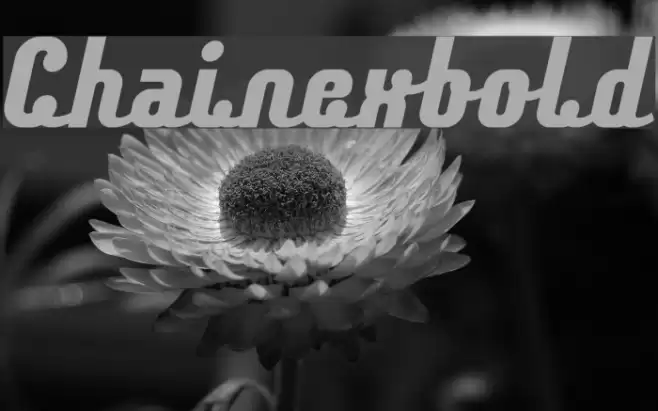 Chainexbold Font examples