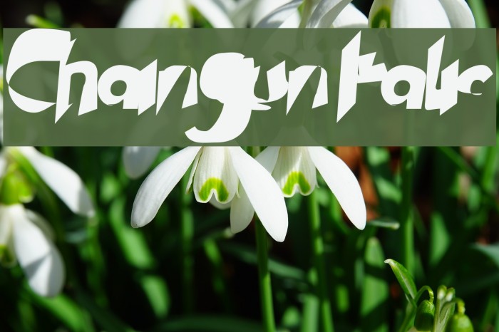 Chaingun Italic Font examples