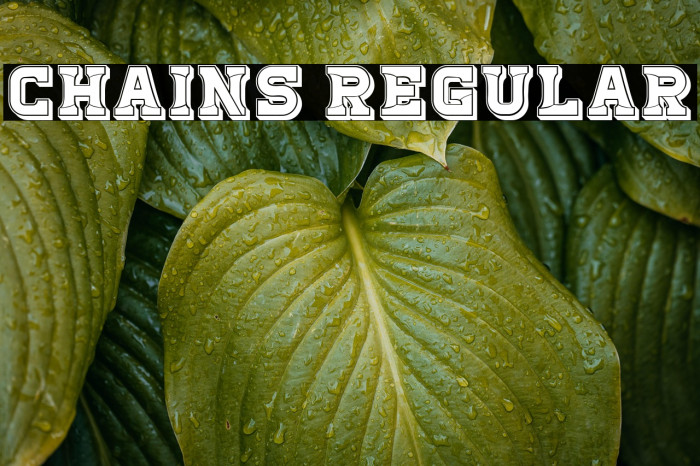 Chains Regular Example 3