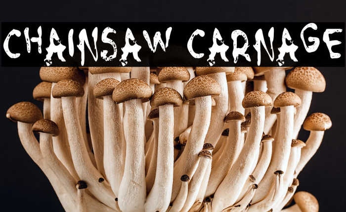 Chainsaw Carnage Example 2