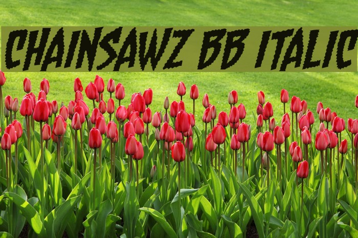 Chainsawz BB Italic Example 2