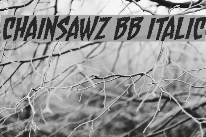 Chainsawz BB Italic Font examples
