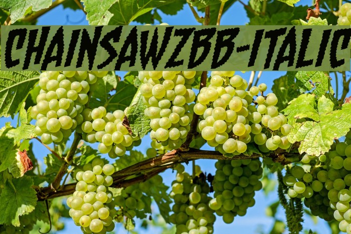 ChainsawzBB-Italic Polices examples